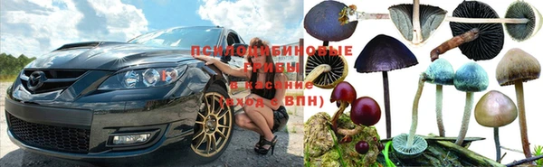 mdpv Няндома