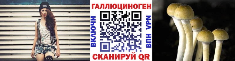 Псилоцибиновые грибы ЛСД ОМГ ОМГ зеркало Зея